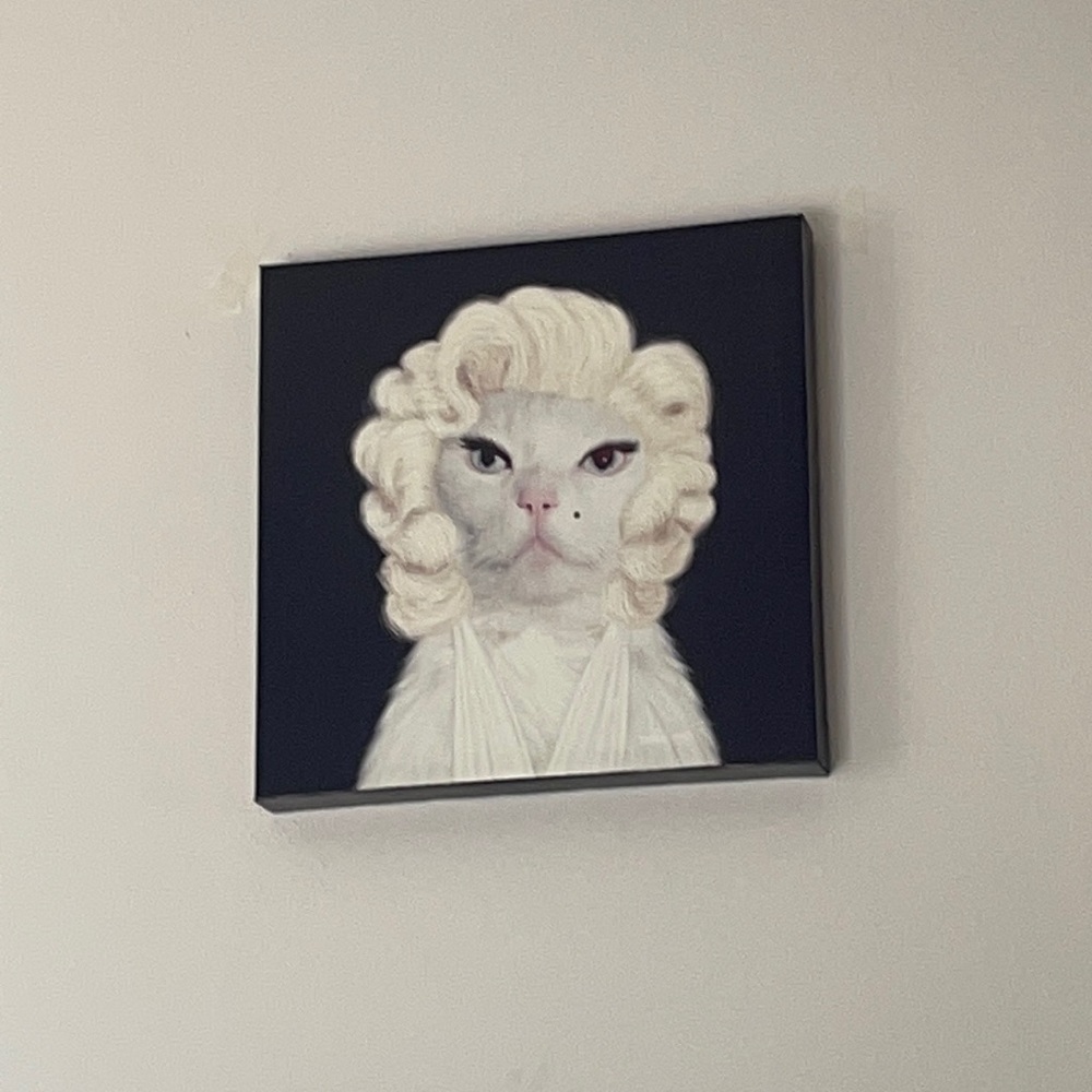 Marilyn Monroe cat wall photo